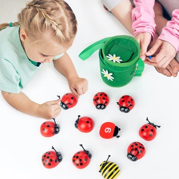 Kūdikių Skaičiavimo Matematikos Numeriai Mediniai Vabalas Vabzdžių Jutimo Žaislai Darželio Ikimokyklinio Montessori Švietimo Žaislai Vaikams